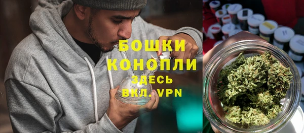 ПСИЛОЦИБИНОВЫЕ ГРИБЫ Мегион