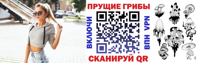 Псилоцибиновые грибы прущие грибы Сясьстрой