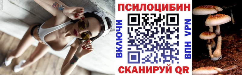 Псилоцибиновые грибы прущие грибы Сясьстрой