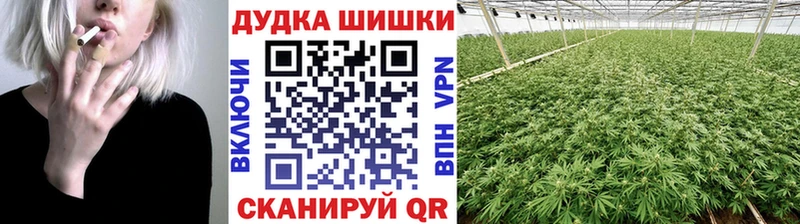 Канабис VHQ  магазин  наркотиков  Сясьстрой 